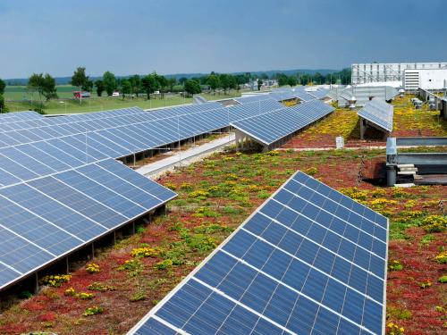 Sedum roof and solar panels